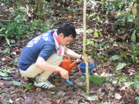 マレーシア　サラワク州クチン　植林活動